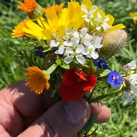 Da Ercole All'orecchietta Hotel