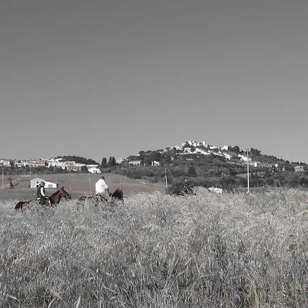 Da Ercole All'orecchietta Hotel 3*