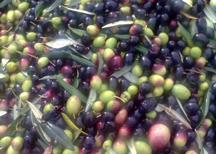 מלון Da Ercole All'orecchietta