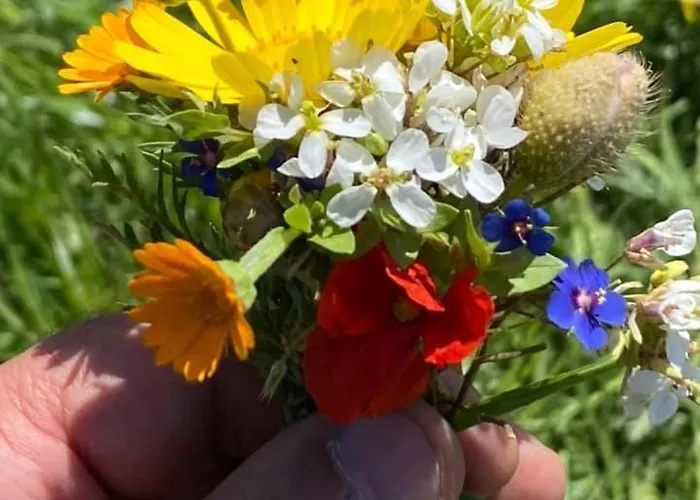 Da Ercole All'orecchietta מלון