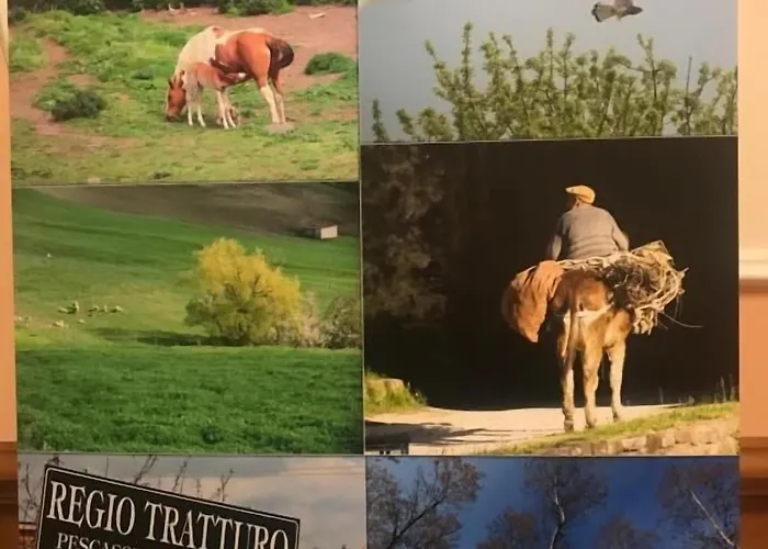 Hotell Da Ercole All'orecchietta