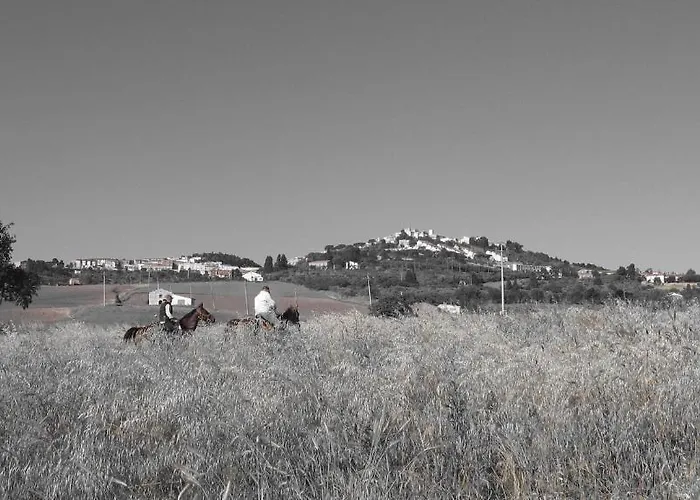 Da Ercole All'orecchietta מלון 3*